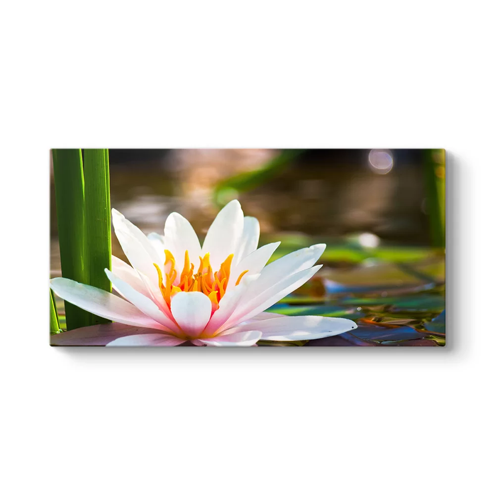 Sudaki Lotus Tablosu - Model 5